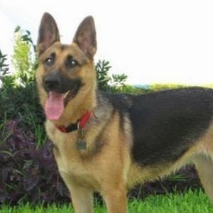 Meet your Posher, Rogelio